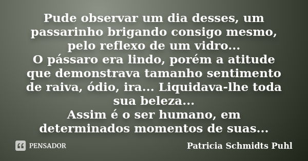 Pude observar um dia desses, um passarinho brigando consigo mesmo, pelo reflexo de um vidro... O pássaro era lindo, porém a atitude que demonstrava tamanho sent... Frase de Patricia Schmidts Puhl.