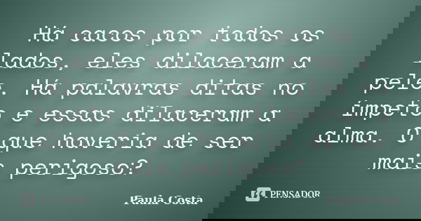 Há cacos por todos os lados, eles dilaceram a pele. Há palavras ditas no ímpeto e essas dilaceram a alma. O que haveria de ser mais perigoso?... Frase de Paula Costa.