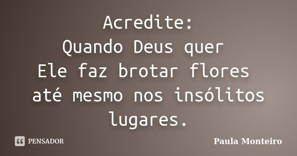 Acredite: Quando Deus quer Ele faz brotar flores até mesmo nos insólitos lugares.... Frase de Paula Monteiro.