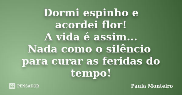 Dormi espinho e acordei flor! A vida é assim... Nada como o silêncio para curar as feridas do tempo!... Frase de Paula Monteiro.