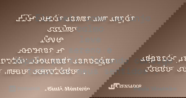 Ele veio como um anjo calmo leve sereno e depois partiu levando consigo todos os meus sentidos .... Frase de Paula Monteiro.