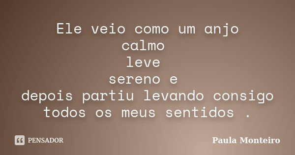 Ele veio como um anjo calmo leve sereno e depois partiu levando consigo todos os meus sentidos .... Frase de Paula Monteiro.