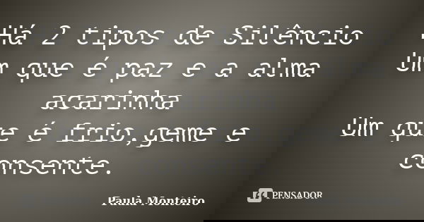 Há 2 tipos de Silêncio Um que é paz e a alma acarinha Um que é frio,geme e consente.... Frase de Paula Monteiro.