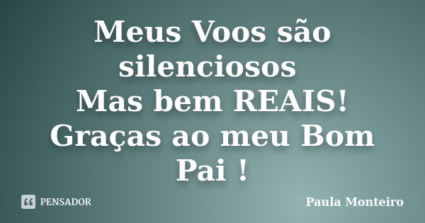 Meus Voos são silenciosos Mas bem REAIS! Graças ao meu Bom Pai !... Frase de Paula Monteiro.