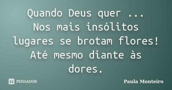 Quando Deus quer ... Nos mais insólitos lugares se brotam flores! Até mesmo diante às dores.... Frase de Paula Monteiro.