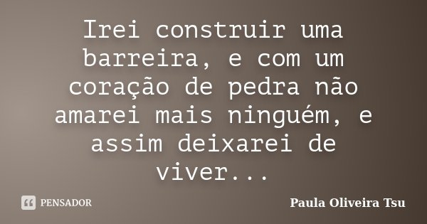 Irei construir uma barreira, e com um coração de pedra não amarei mais ninguém, e assim deixarei de viver...... Frase de Paula Oliveira Tsu.