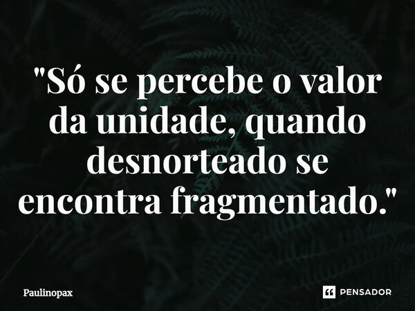 ⁠"Só se percebe o valor da unidade, quando desnorteado se encontra fragmentado."... Frase de Paulinopax.