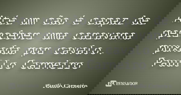 Até um cão é capaz de perceber uma caravana puxada por cavalo. Paullo Carneiro... Frase de Paullo Carneiro.