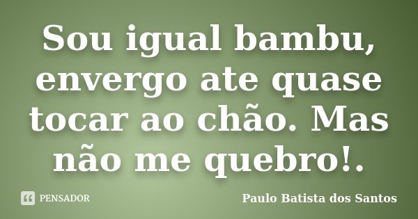 Sou igual bambu, envergo ate quase tocar ao chão. Mas não me quebro!.... Frase de Paulo Batista dos Santos.