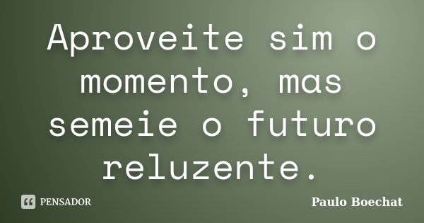 Aproveite sim o momento, mas semeie o futuro reluzente.... Frase de Paulo Boechat.