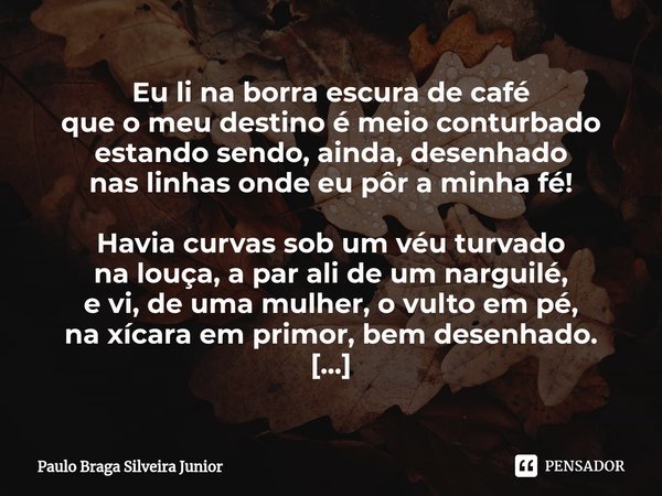Crendice Eu Li Na Paulo Braga Silveira Junior