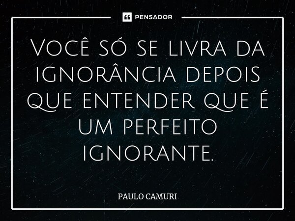 ⁠Você só se livra da ignorância depois que entender que é um perfeito ignorante.... Frase de PAULO CAMURI.