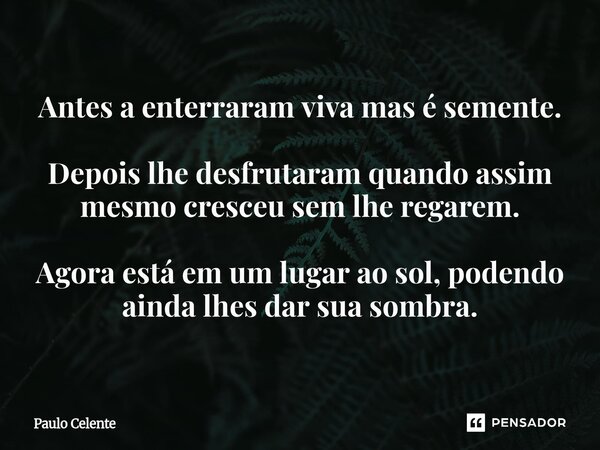 ⁠⁠⁠Antes a enterraram viva mas é semente. Depois lhe desfrutaram quando assim mesmo cresceu sem lhe regarem. Agora está em um lugar ao sol, podendo ainda lhes d... Frase de Paulo Celente.