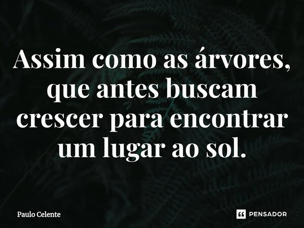 ⁠Assim como as árvores, que antes buscam crescer para encontrar um lugar ao sol.... Frase de Paulo Celente.