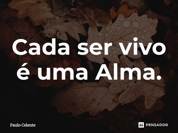 ⁠Cada ser vivo é uma Alma.... Frase de Paulo Celente.