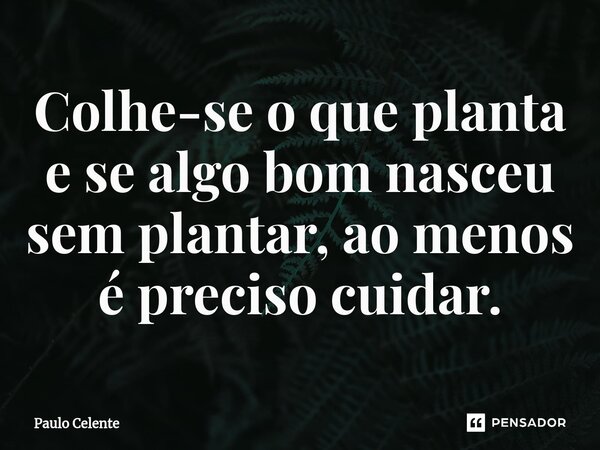 Colhe-se o que planta e se algo bom nasceu sem plantar, ao menos é preciso cuidar.... Frase de Paulo Celente.
