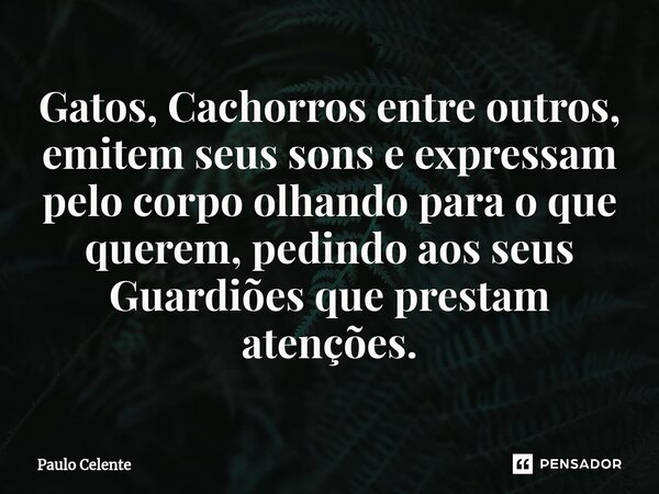⁠Gatos, Cachorros entre outros, emitem seus sons e expressam pelo corpo olhando para o que querem, pedindo aos seus Guardiões que prestam atenções.... Frase de Paulo Celente.