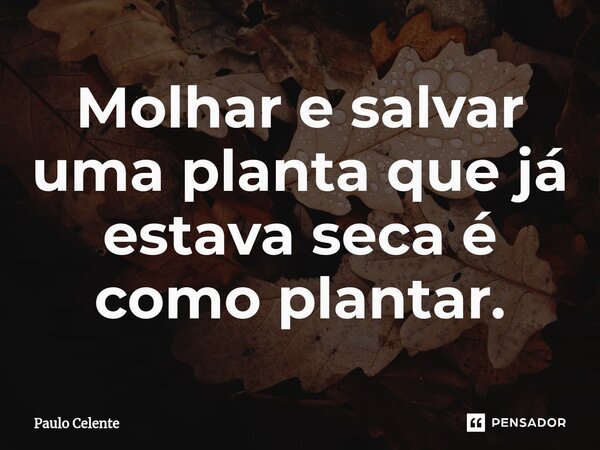 ⁠Molhar e salvar uma planta que já estava seca é como plantar.... Frase de Paulo Celente.
