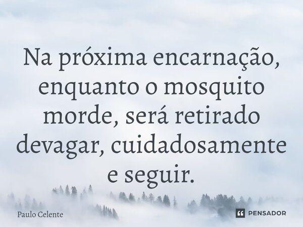 ⁠Na próxima encarnação, enquanto o mosquito morde, será retirado devagar, cuidadosamente e seguir.... Frase de Paulo Celente.