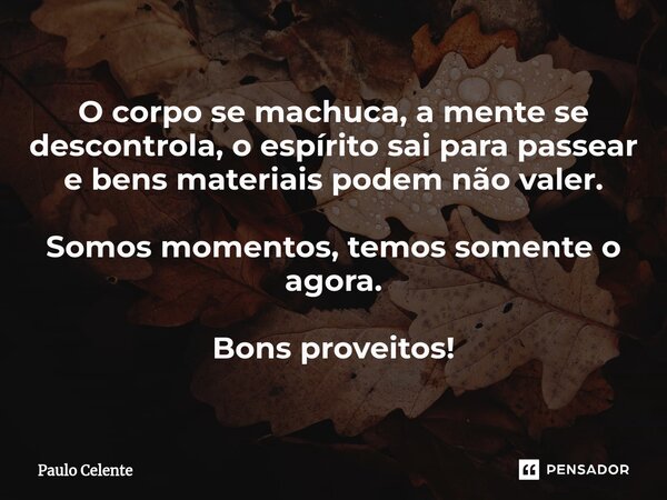 ⁠O corpo se machuca, a mente se descontrola, o espírito sai para passear e bens materiais podem não valer. Somos momentos, temos somente o agora. Bons proveitos... Frase de Paulo Celente.