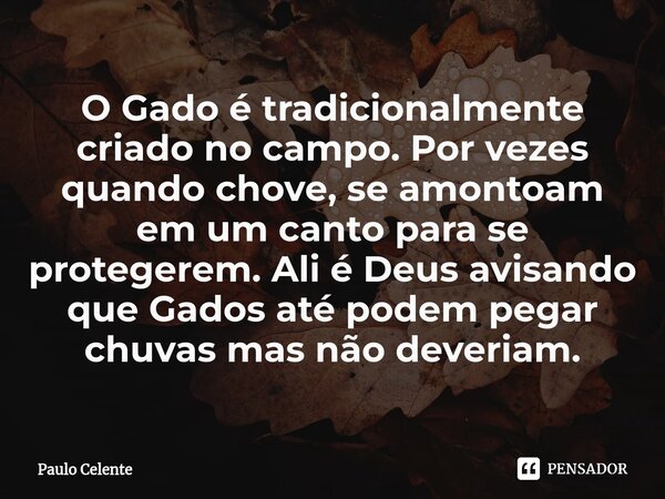 ⁠O Gado é tradicionalmente criado no campo. Por vezes quando chove, se amontoam em um canto para se protegerem. Ali é Deus avisando que Gados até podem pegar ch... Frase de Paulo Celente.