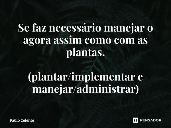 ⁠Se faz necessário manejar o agora assim como com as plantas. (plantar/implementar e manejar/administrar)... Frase de Paulo Celente.