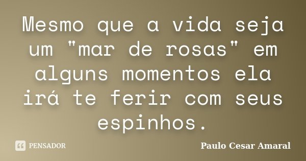 Mesmo que a vida seja um "mar de rosas" em alguns momentos ela irá te ferir com seus espinhos.... Frase de Paulo Cesar Amaral.