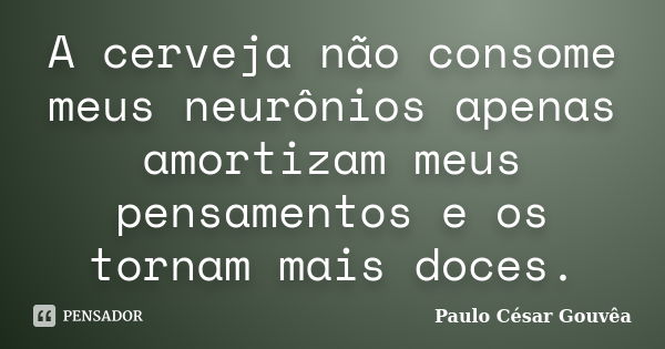 A cerveja não consome meus neurônios apenas amortizam meus pensamentos e os tornam mais doces.... Frase de Paulo César Gouvêa.