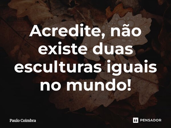 Acredite, não existe duas esculturas iguais no mundo!... Frase de Paulo Coimbra.