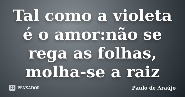 Tal como a violeta é o amor:não se rega as folhas, molha-se a raiz... Frase de Paulo de Araújo.
