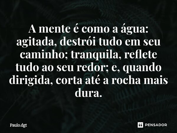 ⁠A mente é como a água: agitada, destrói tudo em seu caminho; tranquila, reflete tudo ao seu redor; e, quando dirigida, corta até a rocha mais dura.... Frase de Paulo.dgt.