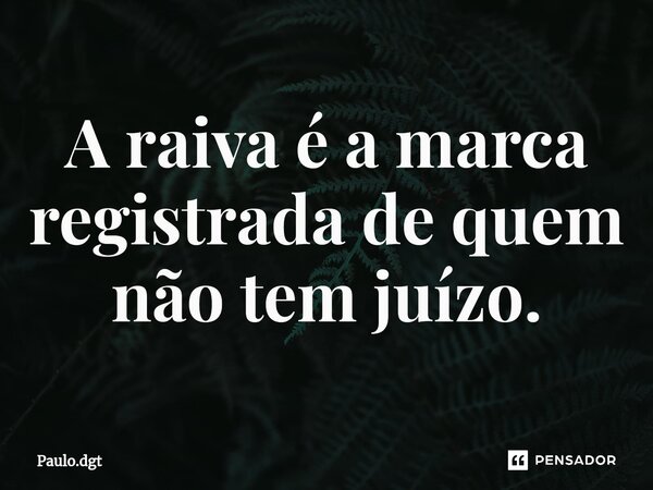 A raiva é a marca registrada de quem não tem juízo.... Frase de Paulo.dgt.