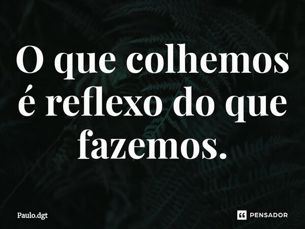 ⁠O que colhemos é reflexo do que fazemos.... Frase de Paulo.dgt.