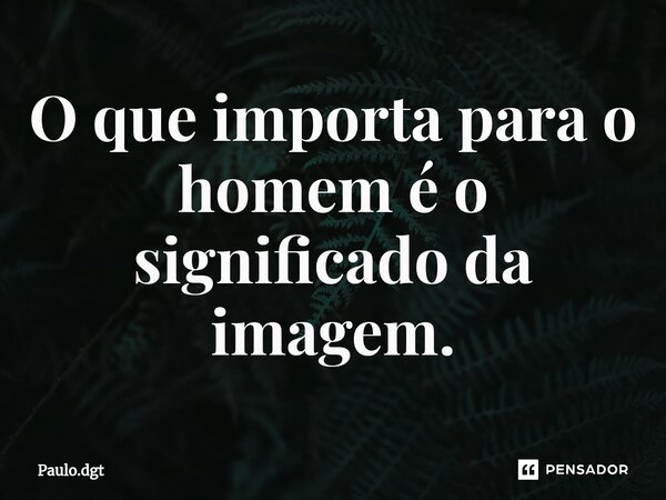 ⁠O que importa para o homem é o significado da imagem.... Frase de Paulo.dgt.