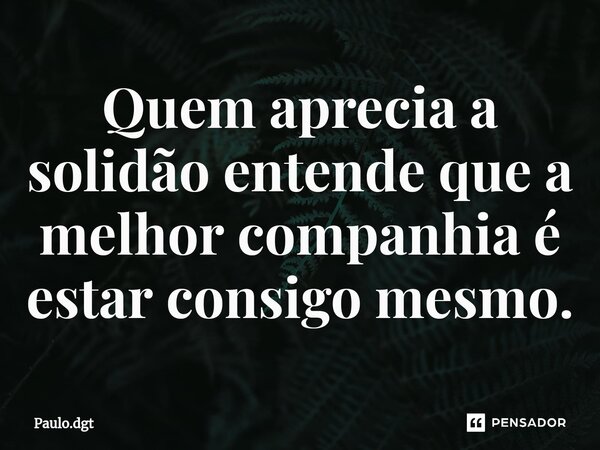 ⁠Quem aprecia a solidão entende que a melhor companhia é estar consigo mesmo.... Frase de Paulo.dgt.