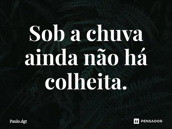 ⁠Sob a chuva ainda não há colheita.... Frase de Paulo.dgt.