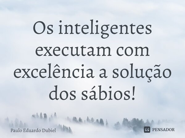 ⁠Os inteligentes executam com excelência a solução dos sábios!... Frase de Paulo Eduardo Dubiel.