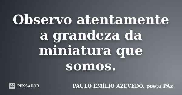 Observo atentamente a grandeza da miniatura que somos.... Frase de PAULO EMÍLIO AZEVEDO, poeta PAz.
