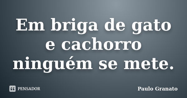 Em briga de gato e cachorro ninguém se mete.... Frase de Paulo Granato.