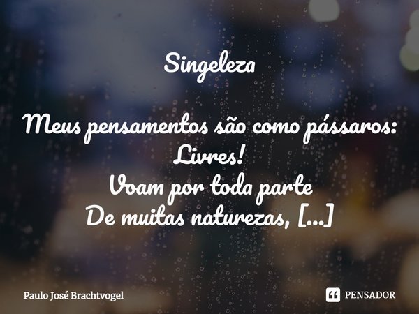 ⁠Singeleza Meus pensamentos são como pássaros:
Livres!
Voam por toda parte
De muitas naturezas,
Planam com diferentes asas,
Veem o mundo com mais cores
Para ele... Frase de Paulo José Brachtvogel.