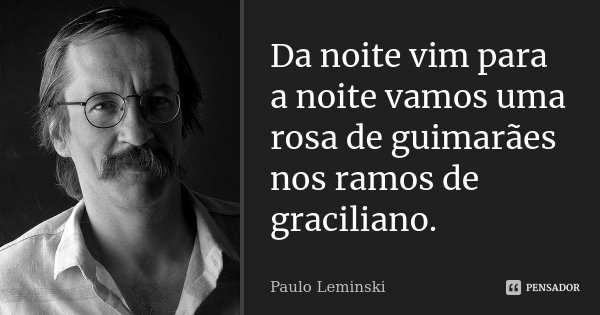 Da noite vim para a noite vamos uma rosa de guimarães nos ramos de graciliano.... Frase de Paulo Leminski.