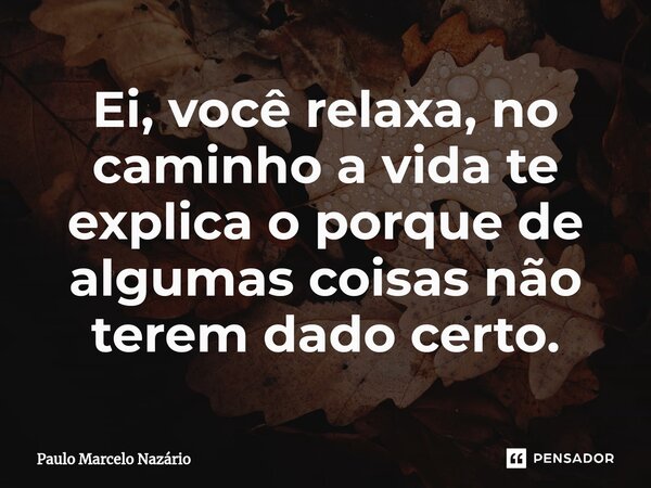 Ei, você relaxa, no caminho a vida te explica o porque de algumas coisas não terem dado certo.... Frase de Paulo Marcelo Nazário.