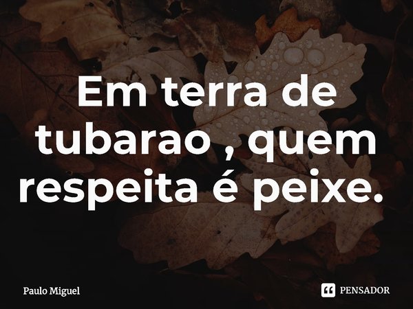 Em terra de tubarão , quem respeita é peixe. ⁠... Frase de Paulo Miguel.