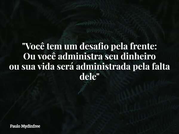 "Você tem um desafio pela frente: Ou você administra seu dinheiro ou sua vida será administrada pela falta dele"... Frase de Paulo Mydinfree.