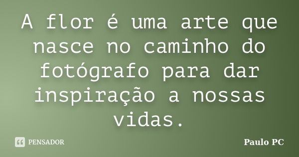 A flor é uma arte que nasce no caminho do fotógrafo para dar inspiração a nossas vidas.... Frase de Paulo PC.