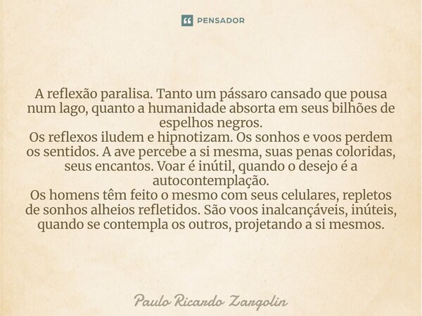 A reflexão paralisa. Tanto um pássaro cansado que pousa num lago, quanto a humanidade absorta em seus bilhões de espelhos negros. Os reflexos iludem e hipnotiz... Frase de Paulo Ricardo Zargolin.