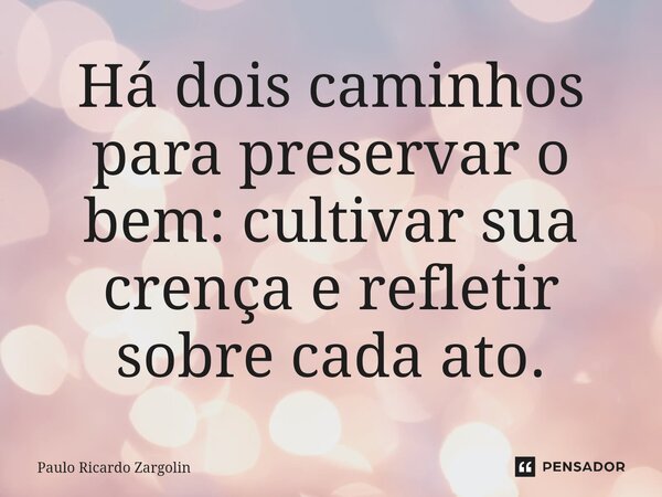 ⁠Há dois caminhos para preservar o bem: cultivar sua crença e refletir sobre cada ato.... Frase de Paulo Ricardo Zargolin.