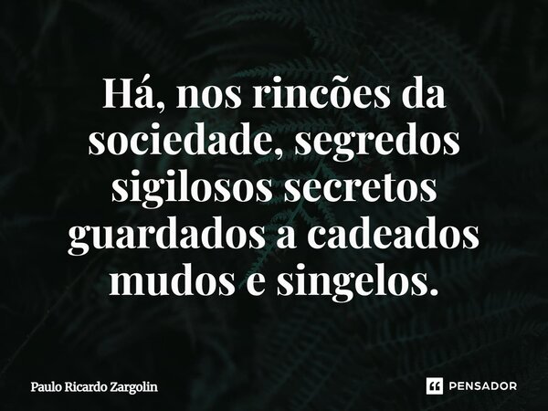 ⁠Há, nos rincões da sociedade, segredos sigilosos secretos guardados a cadeados mudos e singelos.... Frase de Paulo Ricardo Zargolin.