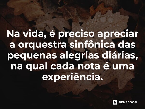 ⁠Na vida, é preciso apreciar a orquestra sinfônica das pequenas alegrias diárias, na qual cada nota é uma experiência.... Frase de Paulo Ricardo Zargolin.