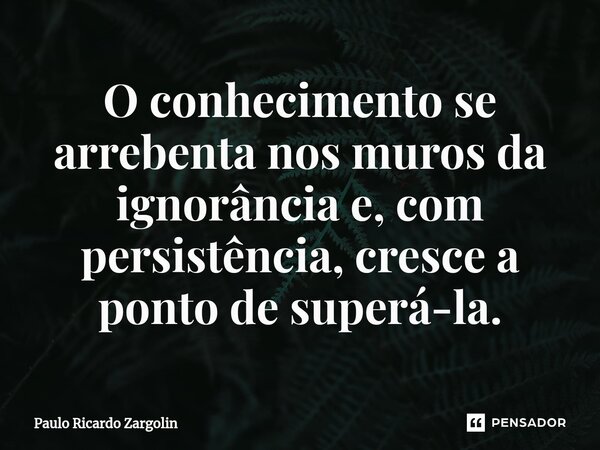 ⁠O conhecimento se arrebenta nos muros da ignorância e, com persistência, cresce a ponto de superá-la.... Frase de Paulo Ricardo Zargolin.